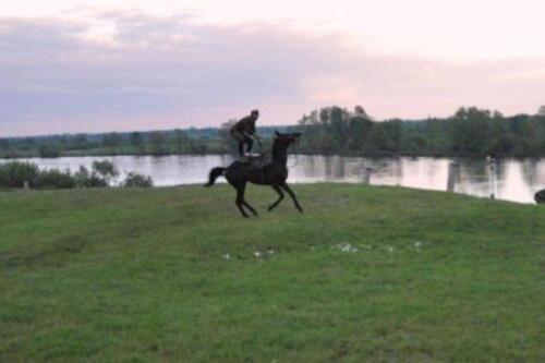 948e2f5f23cb342aeac9e7a0db1b400d